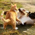 Kommunikation auch ohne Worte - Körpersprache