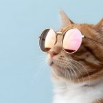 Cool bleiben - auch wenn es heiß hergeht