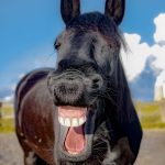 Ich könnte ausflippen - Humor ist Superkraft im Alltag - EW Lounge